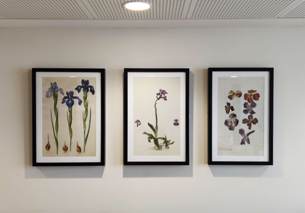 Tableaux et cadres personnalisés · établissement