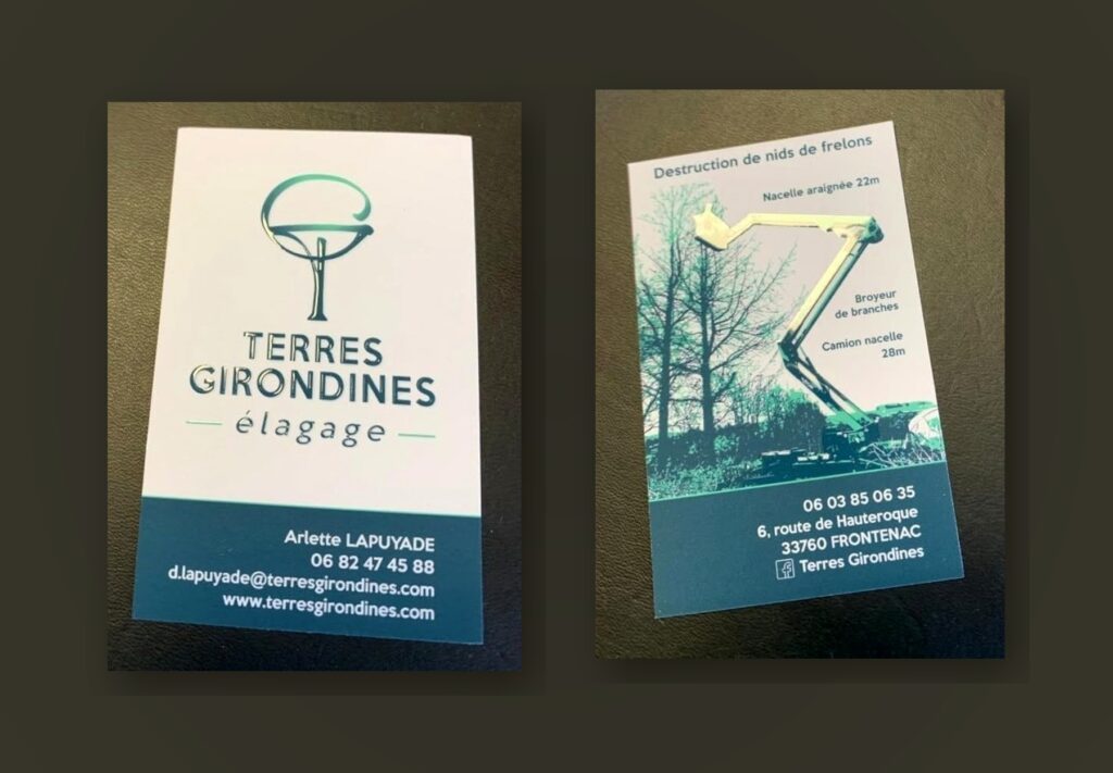 Cartes de visite recto verso sur table pour une entreprise d’élagage à Frontenac