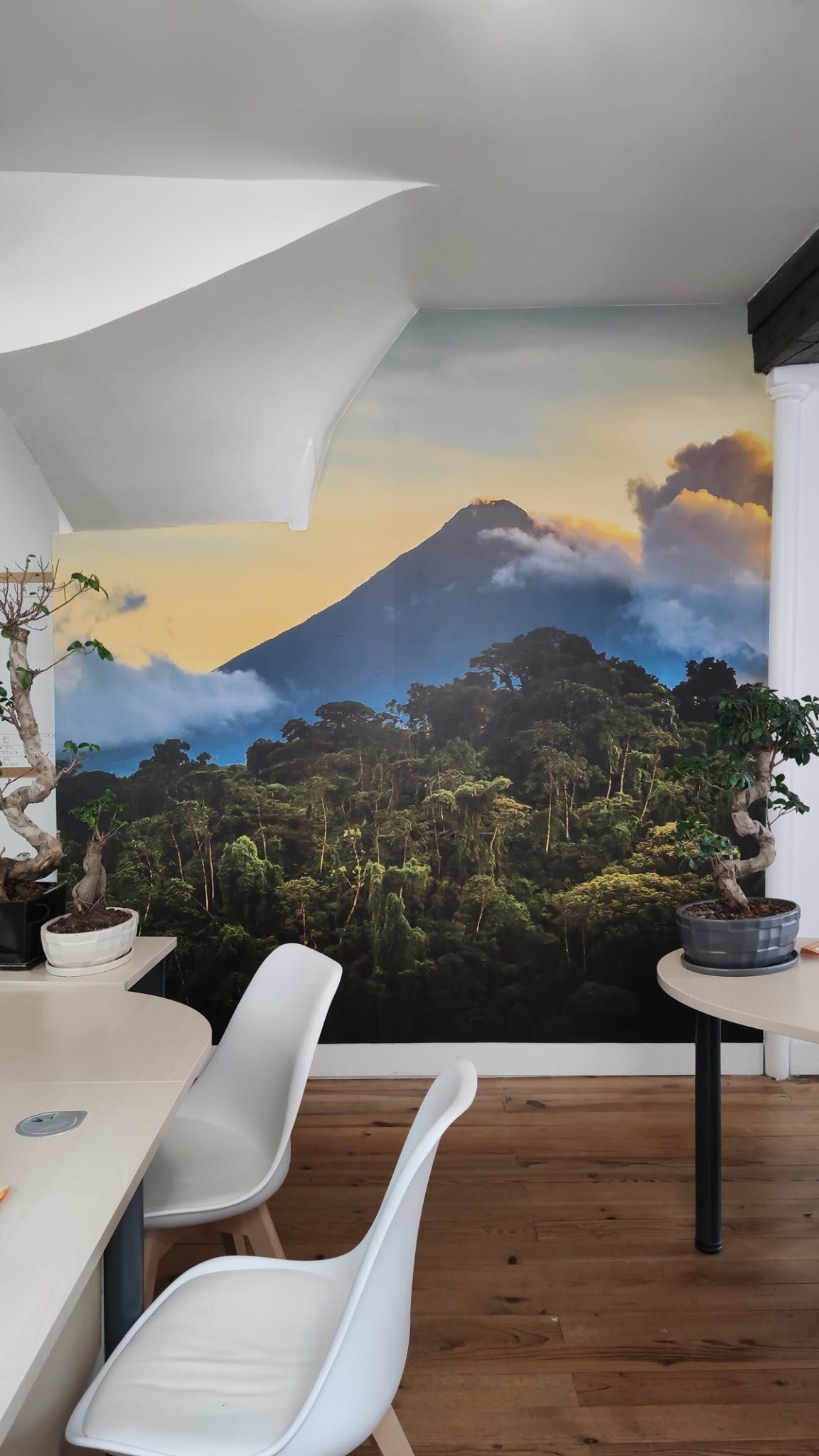 Décor mural imprimé dans un bureau : volcan et forêt tropicale