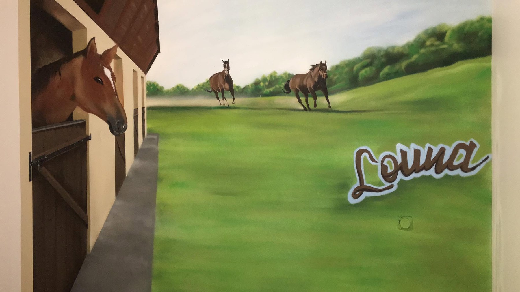 Réalisation Allgraphik — deco_chevaux