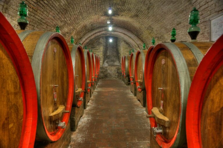 Cave à barriques de chêne