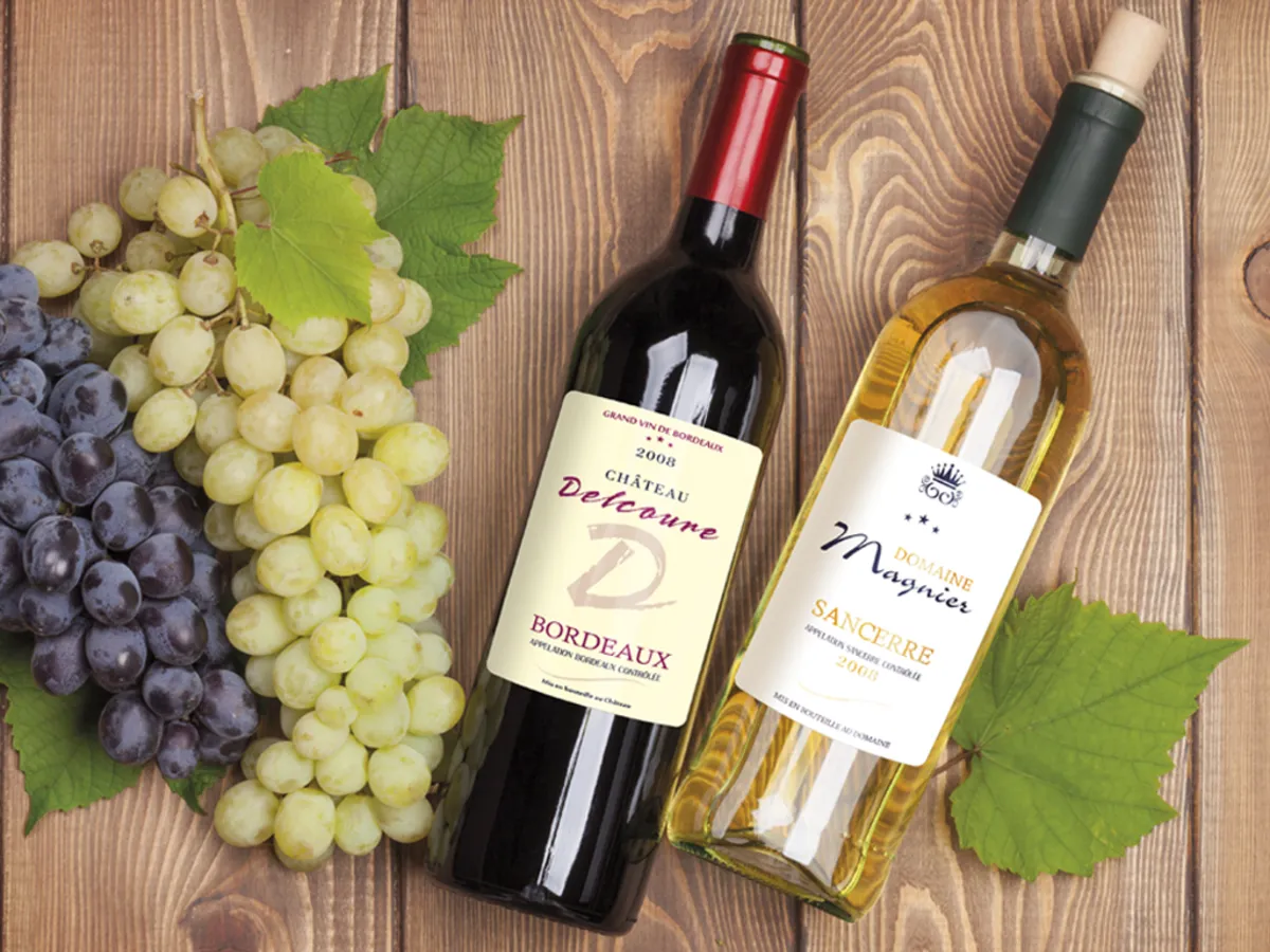 Étiquettes de château sur papier vergé crème, bouteilles de vin et raisin