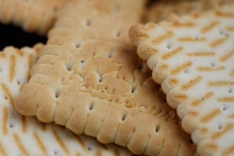 Illustration : biscuits secs en gros plan