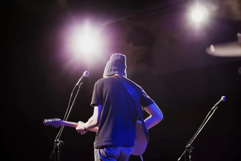 Illustration : musicien sur scène