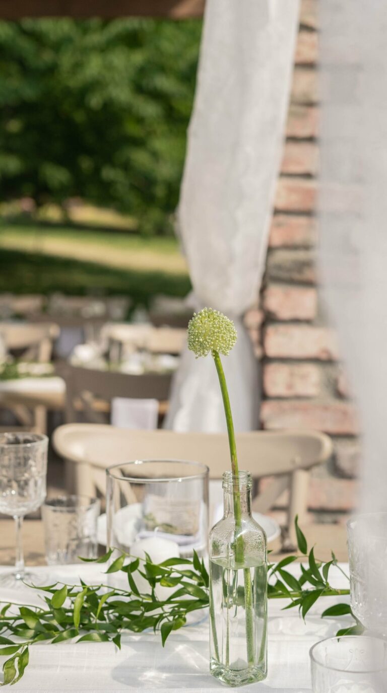 Table de terrasse dressée en été