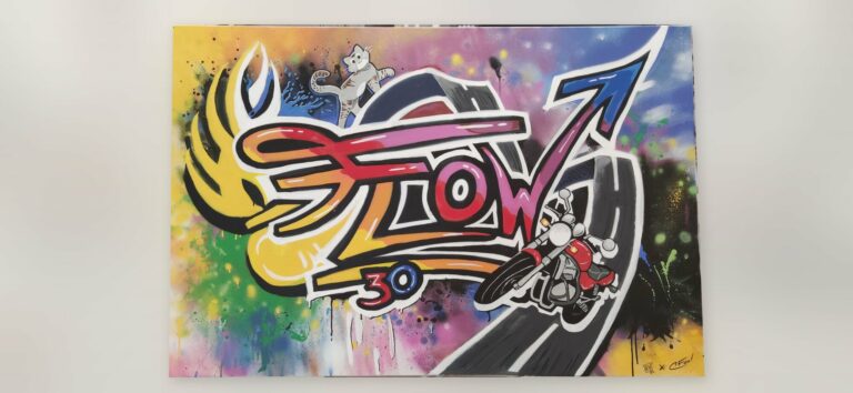 Tableau graff « Flow » peint à la bombe sur commande pour un anniversaire – Castres-Gironde